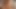 göt dışarı v.194