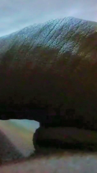 Desi ka gay  papa la chota beta ka pasand budh | Clip 1