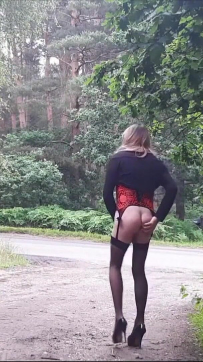 Thrilling moment from "Tranny Stripping by the Roadside"
