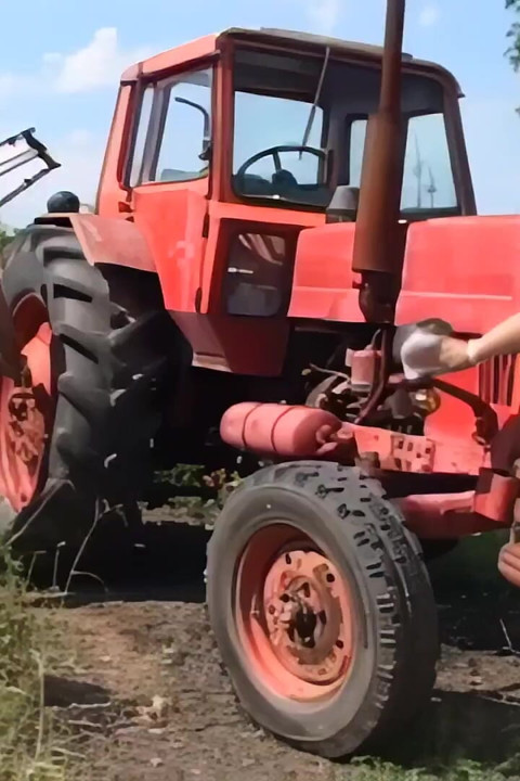 Seksi bir et bombası