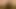 Bbw bu bbc'nin son damlasını alır