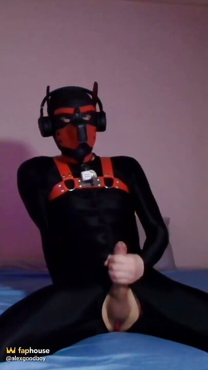 Remote Controlled Puppy Whimpers While Jerking off