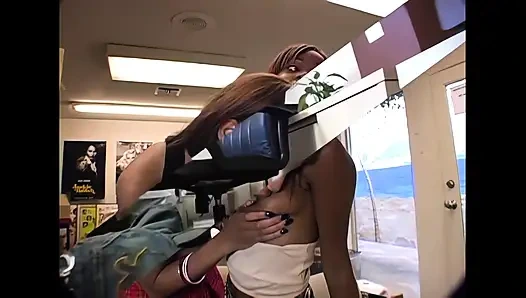 Hengst behauptet seine königin