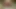 Daddy fleshlight fuck cumming inside