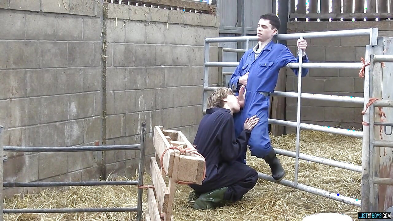 Diversión cachonda twink en la granja!