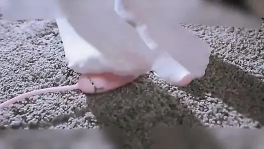 Bayan 19-gelinlikli kız vibratör tarafından disipline edildi