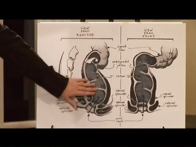 Blonde Babe Fingers Pussy and Rides Cock Wildly