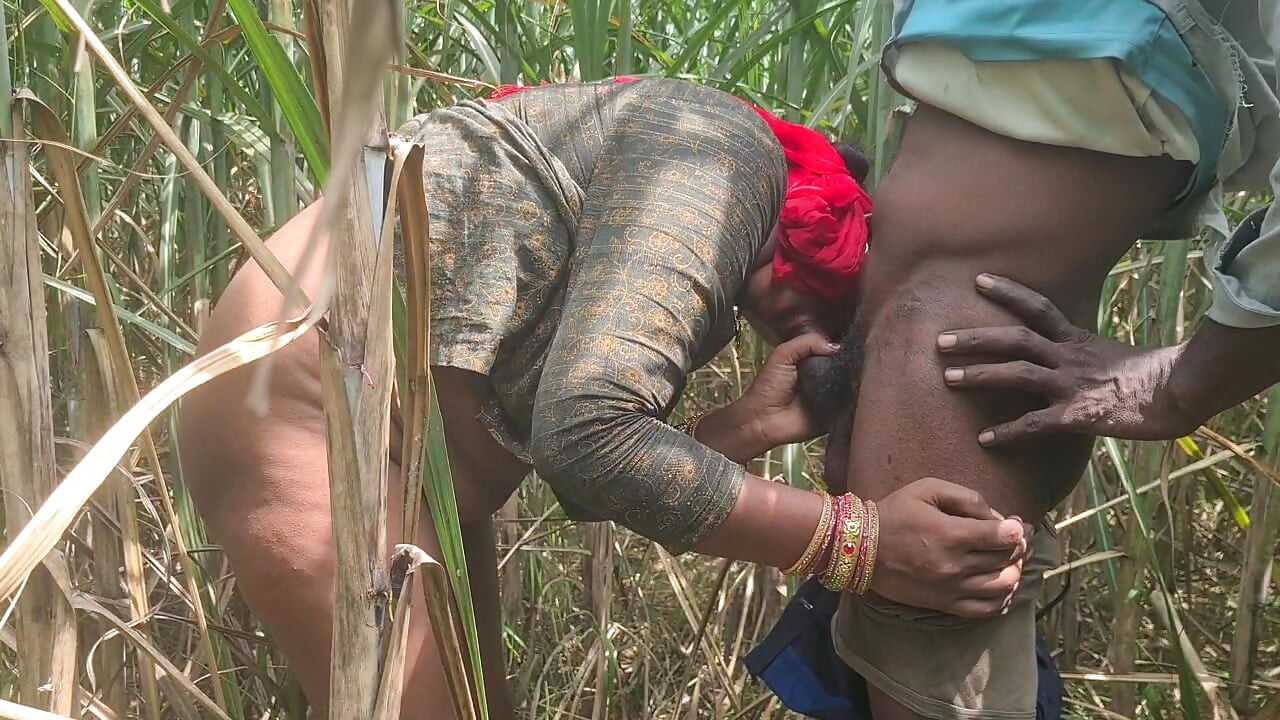 Desi Bhabhi in the sugarcane field