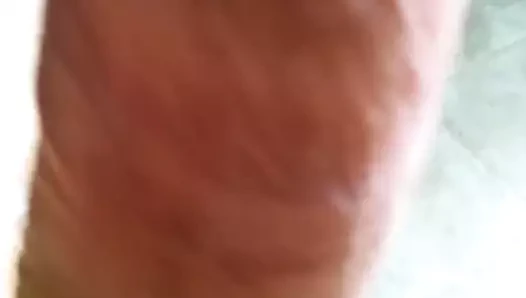 Pija madura erguida caliente y dura