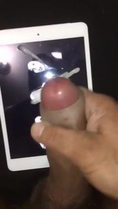 Tribute