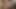 Une brunette en chaleur qui veut du sperme