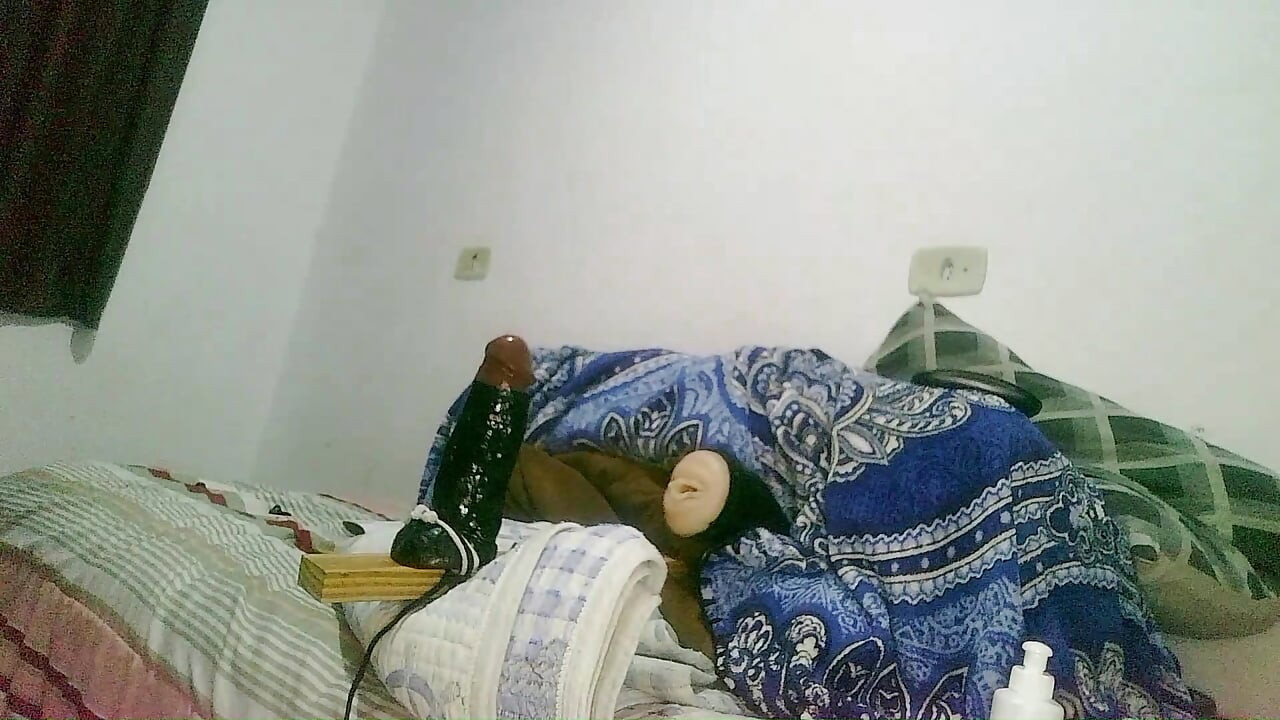 Berbulu nakal menunjuk-nunjuk