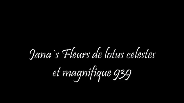 Fleurs de lotus celestes et magnifique 939