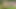 Genlez - lezbiyenler victoria köpek yavrusu ve bailey ryder sırayla