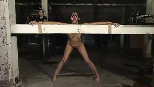 Isis Love