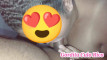 Pratinjau video