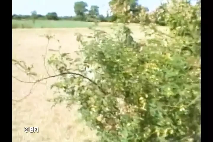 Maszturbáció tapasztalattal