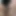 Insatiable Crown Missing the Actor's Gifted Cock