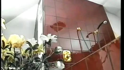 Viennese Embers, часть 1 (1990)