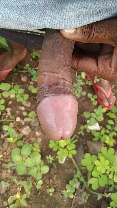 Deshi land,