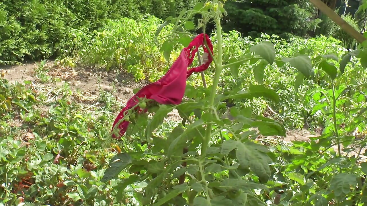 Great Anal in the Garden