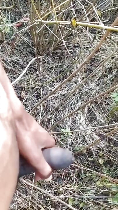 叢林中的戶外射精合輯