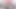 Yeni evli Alisha salon odasında sevgilisiyle sikişiyor