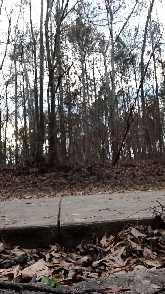 Bike trail pt.3