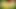 A Boy Masturbates And Cums, masturbation video