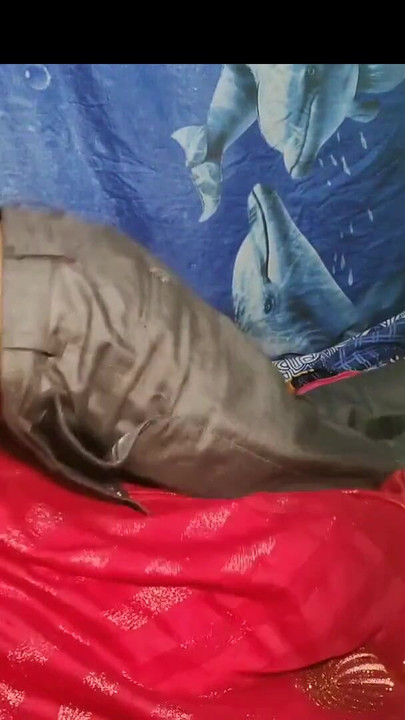 Epic moment from "Indian Desi suhagrat sex videos real Village wife husband sex Desi"