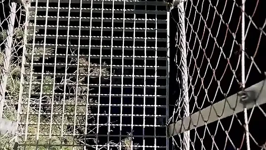 Spontaner berg-quickie, öffentliches paar im freien