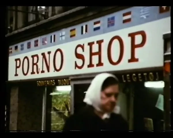 Die Liebesschuler Von Kopenhagen (1970)