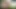 Horny Colombian Latino Twinks Fuck Outdoors