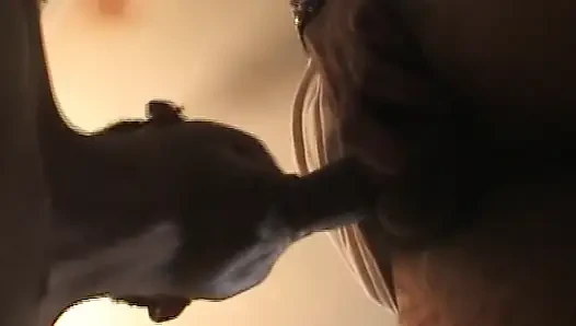 İki azgın adam şişman delikanlının büyük kıllı yarağını emiyor