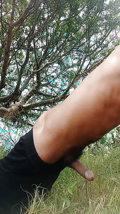 자칼이 우유를 뿜어대는 장면