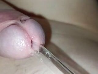 Cara jovem insere um tubo na uretra de um pau pequeno