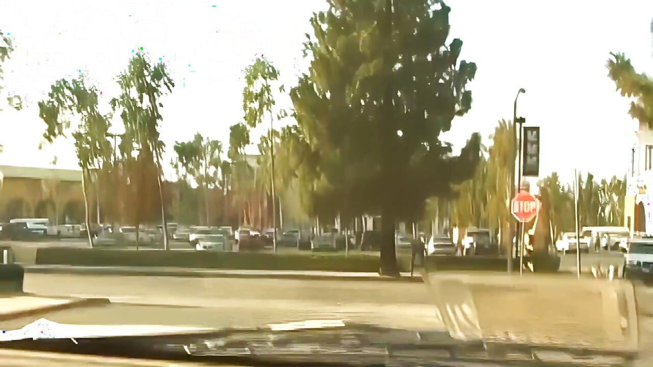 Melrose Foxx minik bir siyah macera yaşıyor