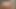 BBW SSBBW hardcore porn, fat porn