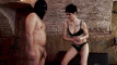 Pregled videozapisa