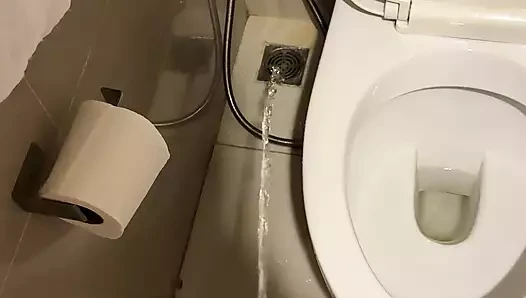 Poore shauchalay men mootna bahut achchha laga