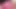 Fucking Trans Woman in Chastity - Compilation 5