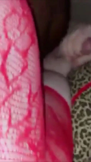 Unforgettable moment from "Chubby sissy crossdresser is a BBC cumslut (compilation)"