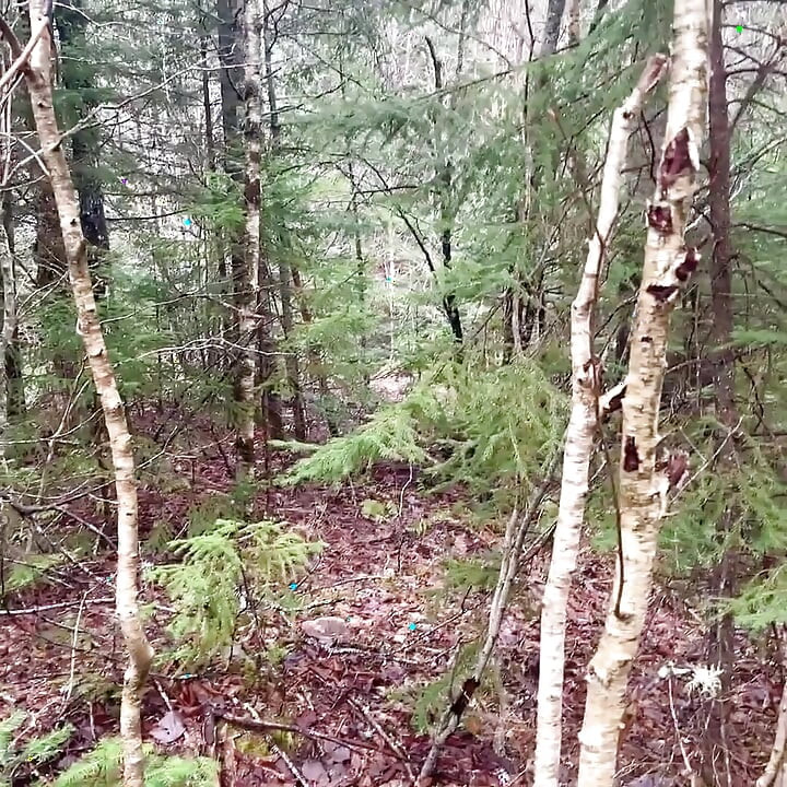 Pussy Pissing Water on the Rock