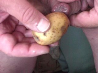 Prépuce avec du sperme à l&#39;intérieur et une pomme de terre