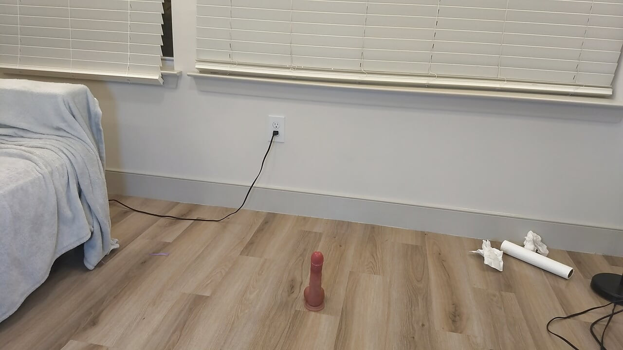 Vibrator and Riding Dildo