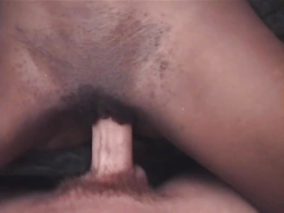 Black cock sucking pussy fucking