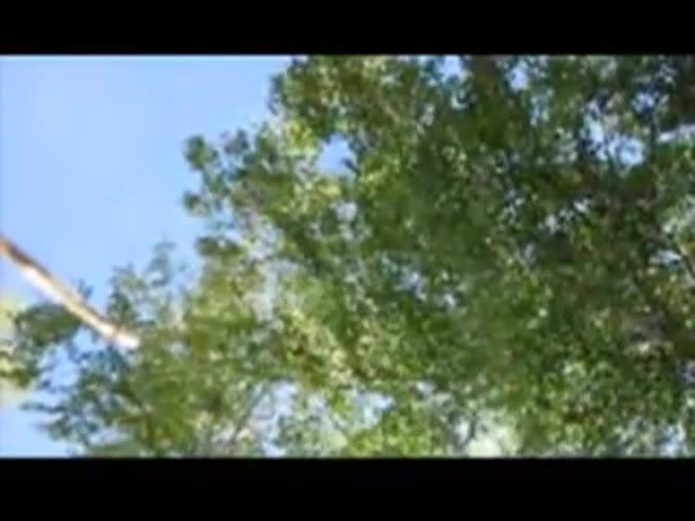My video 15