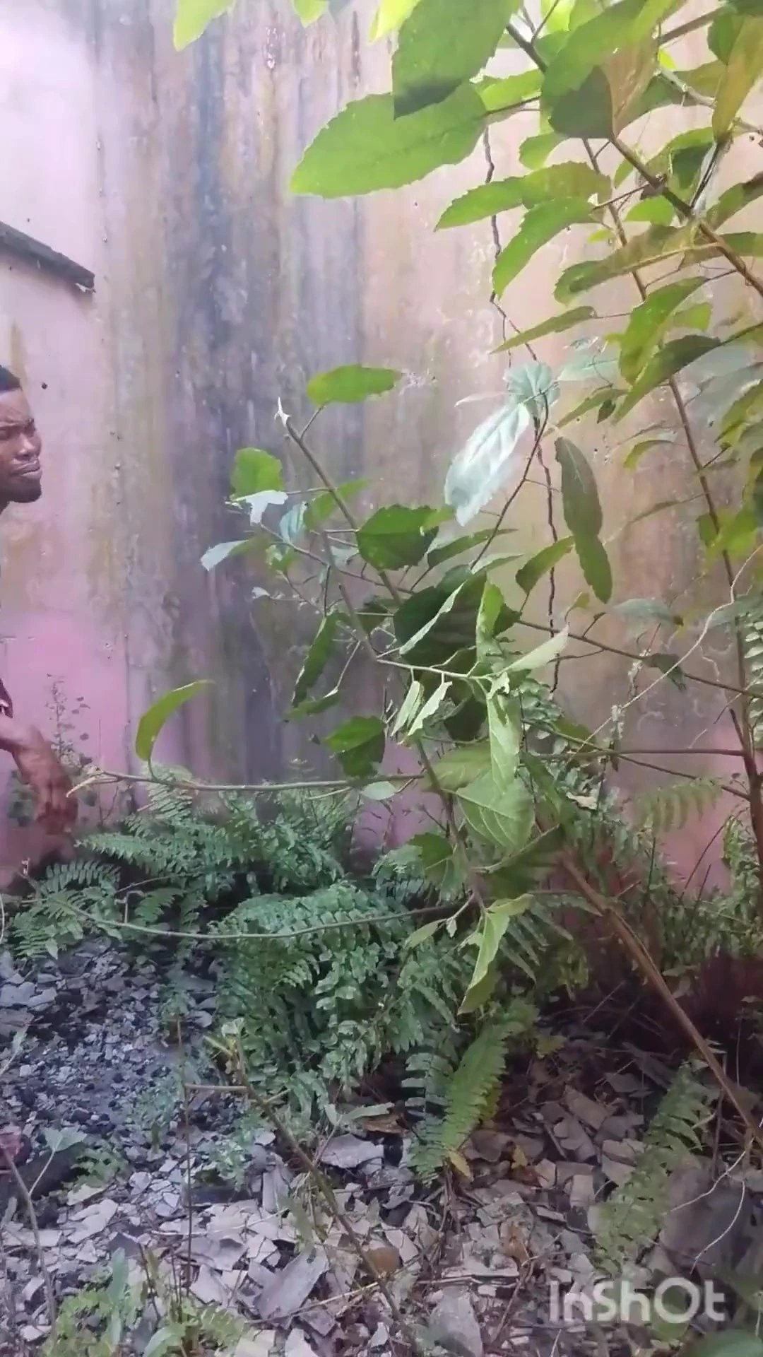 My New Date Ask Me Baby Can We Fuck in the Bush Again