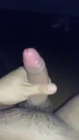 Lechero