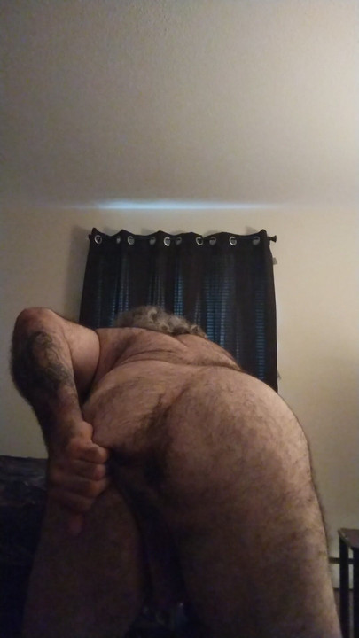 Polar bear needs something hard and deep